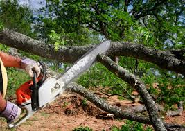 Best Leaf Removal  in Slatington, PA